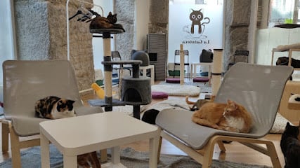 La Gatoteca