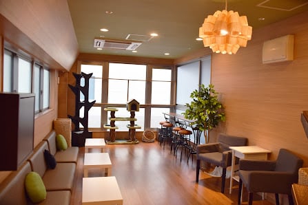 Cat Cafe Mofunyan