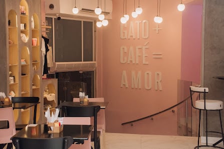 Gato Café Copacabana