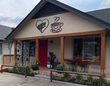 Comfort & Joy Cat Cafe