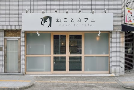ねことカフェ大阪天王寺店