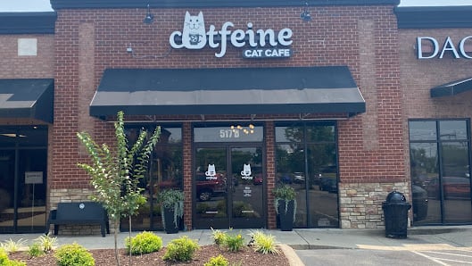 Catfeine Cat Cafe