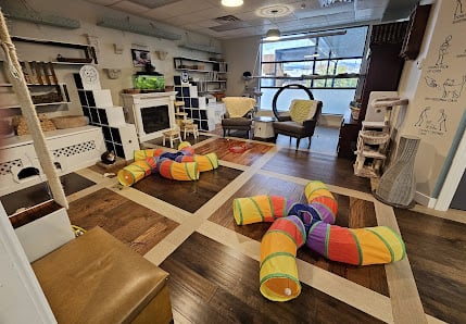 Catelowna Cat Cafe