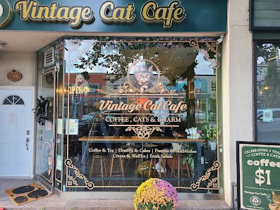 Vintage Cat Cafe Toronto
