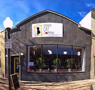 Denver Cat Company