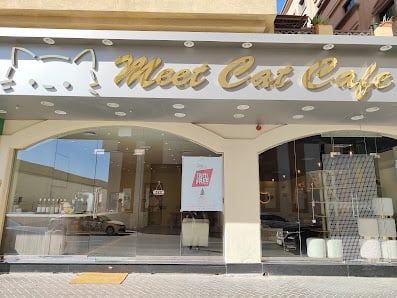 Meet Cat Cafe