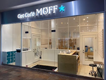 Cat Café MOFF Pearlridge Center