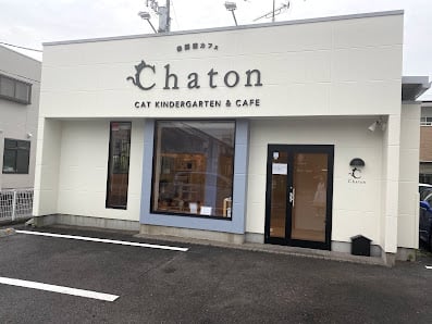 Cat Cafe Chaton