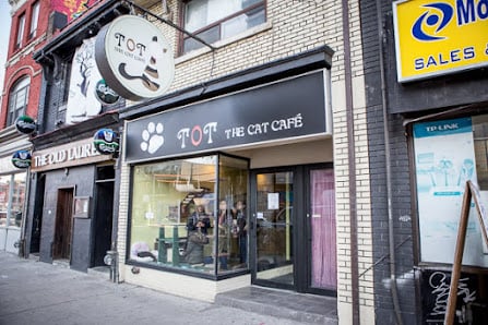 Tot The Cat Cafe