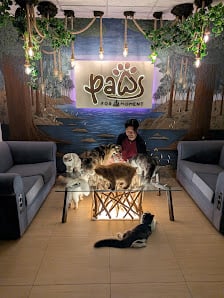Paws For A Moment (Cat Café Co-Working) - Premium cat cafe with private lounge