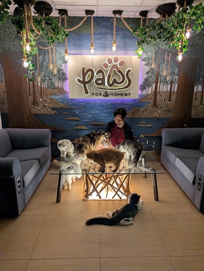 Paws For A Moment (Cat Café Co-Working)