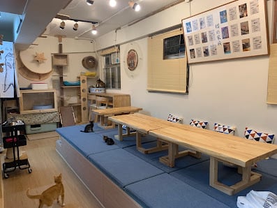 Nekos Cube 方塊貓 | 貓cafe