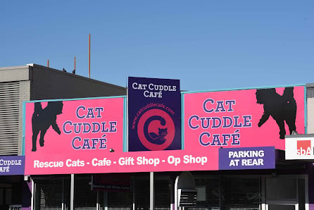 Cat Cuddle Café