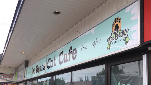 How Intentional Design Drives Cat Cafe Success: A Toe Beans Case Study