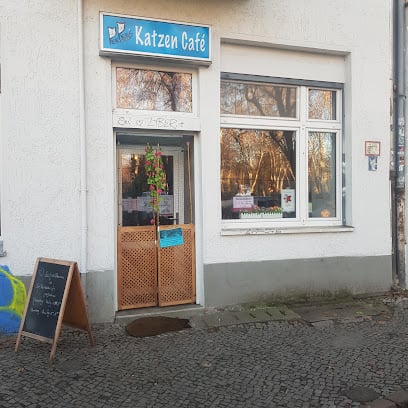 Pee Pee Cat Cafe Berlin