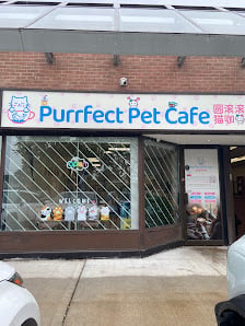 Purrfect Pet Cafe 圆滚滚猫咖 - Premium cat cafe with private lounge