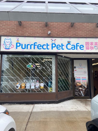 Purrfect Pet Cafe 圆滚滚猫咖