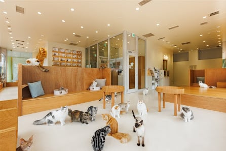 Cat Café MOFF AEON MALL NAGOYA DOME MAE